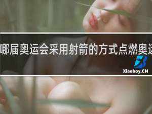 哪届奥运会采用射箭的方式点燃奥运圣火