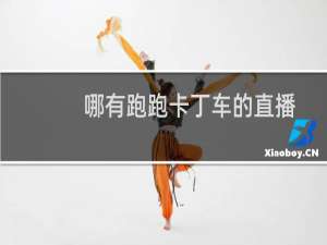 哪有跑跑卡丁车的直播