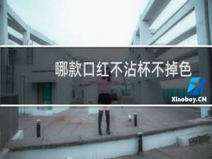 哪款口红不沾杯不掉色