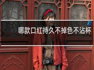 哪款口红持久不掉色不沾杯