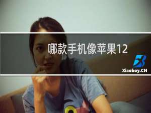 哪款手机像苹果12