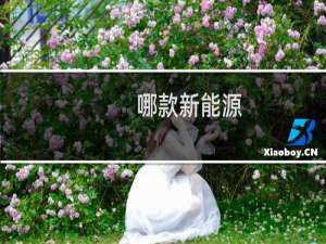 哪款新能源
