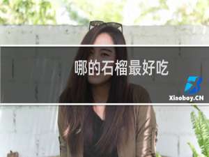 哪的石榴最好吃