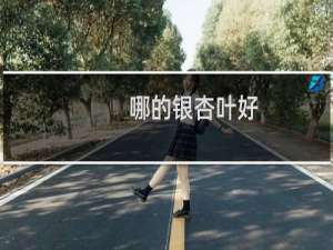 哪的银杏叶好