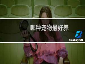 哪种宠物最好养