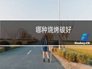 哪种烧烤碳好