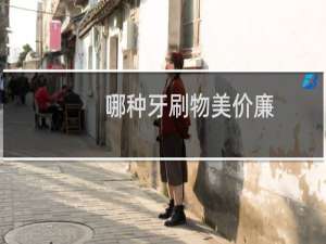 哪种牙刷物美价廉