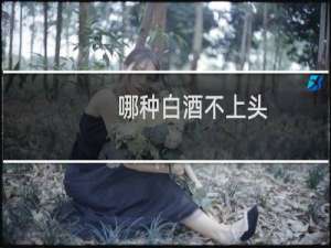 哪种白酒不上头