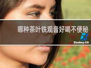 哪种茶叶铁观音好喝不便秘