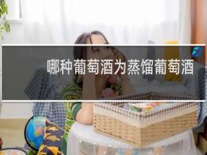 哪种葡萄酒为蒸馏葡萄酒佐餐酒起泡酒冰酒