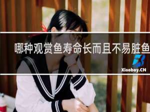 哪种观赏鱼寿命长而且不易脏鱼缸