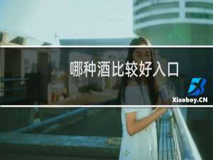 哪种酒比较好入口