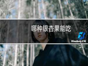 哪种银杏果能吃