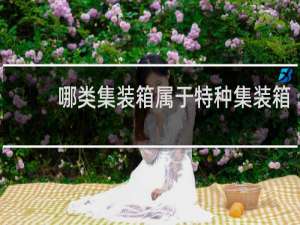 哪类集装箱属于特种集装箱