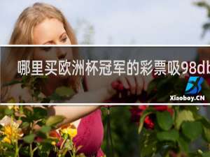 哪里买欧洲杯冠军的彩票吸98dbin