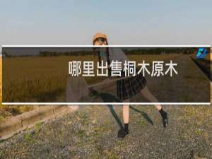 哪里出售桐木原木