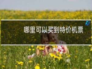 哪里可以买到特价机票
