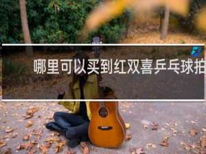 哪里可以买到红双喜乒乓球拍
