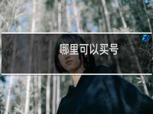 哪里可以买号