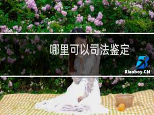 哪里可以司法鉴定