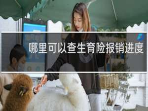 哪里可以查生育险报销进度