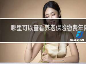 哪里可以查看养老保险缴费年限