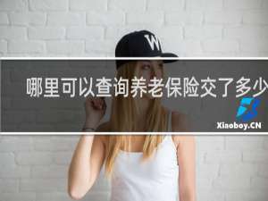 哪里可以查询养老保险交了多少年