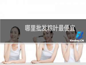 哪里批发粽叶最便宜