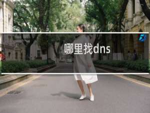 哪里找dns