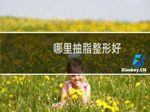 哪里抽脂整形好