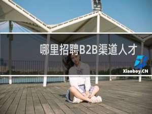 哪里招聘B2B渠道人才