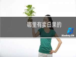 哪里有卖白果的