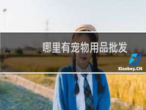 哪里有宠物用品批发