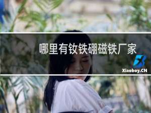 哪里有钕铁硼磁铁厂家