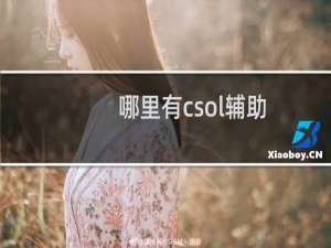 哪里有csol辅助