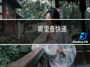 哪里查快递