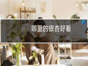哪里的银杏好看