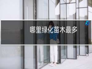 哪里绿化苗木最多