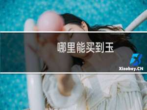 哪里能买到玉