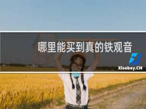 哪里能买到真的铁观音