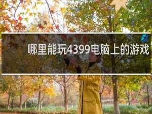 哪里能玩4399电脑上的游戏
