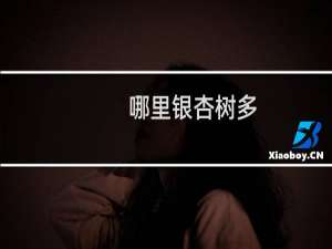 哪里银杏树多