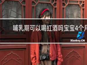 哺乳期可以喝红酒吗宝宝4个月
