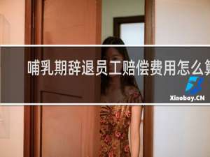 哺乳期辞退员工赔偿费用怎么算