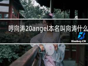 哼向涛 angel本名叫向涛什么梗