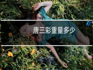 唐三彩重量多少