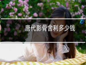 唐代影骨舍利多少钱