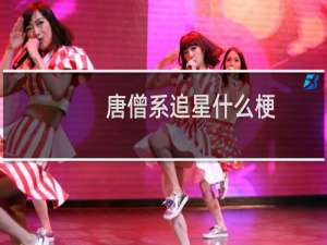 唐僧系追星什么梗