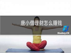 唐小僧理财怎么赚钱