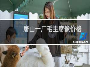 唐山一厂毛主席像价格